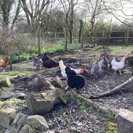 Higher Trenear Farm Bed & Breakfast 3*